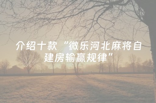 实测结果“微乐小程序赢牌技巧（助赢神器通用版）