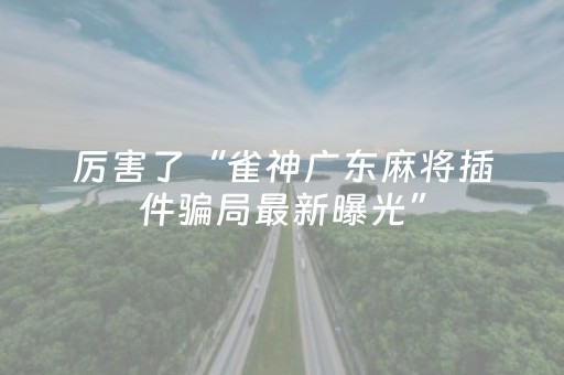 3分钟学会“微乐麻将胡牌神器（助赢神器通用版）
