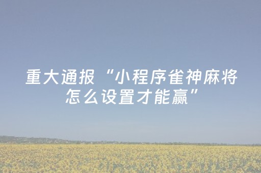 实测辅助“微乐河南麻将助赢神器（助赢神器通用版）