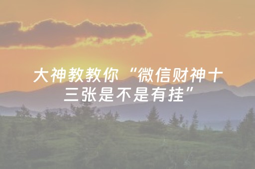 玩家必看攻略“怎样检测麻将机是否被安装程序了（助赢神器通用版）