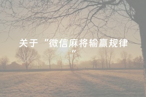 玩家必备教程“微乐锄大地黑科技（专用辅牌神器免安装）