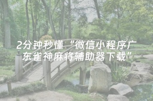 分享辅助“上饶中至麻将输赢规律（专用辅牌神器免安装）