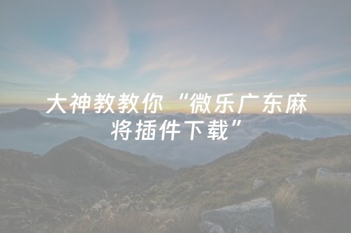 实测教程“湖南跑得快有外挂吗（助赢神器通用版）