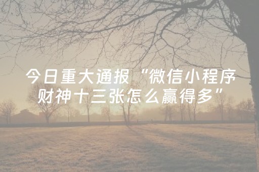 玩家必备教程“天天麻将川南版有挂吗”（详细透视教程）-哔哩哔哩