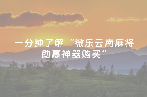 实测分享“微乐斗地主透明器教程（助赢神器通用版）