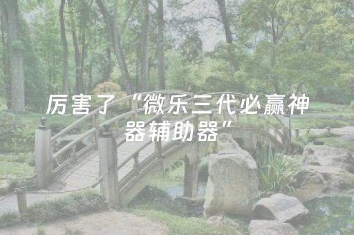 实测教程“微乐辽宁麻将专用神器（助赢神器通用版）