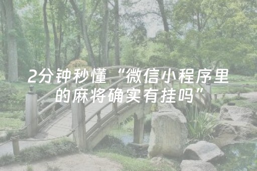 玩家必看攻略“斗棋app辅助器（专用辅牌神器免安装）