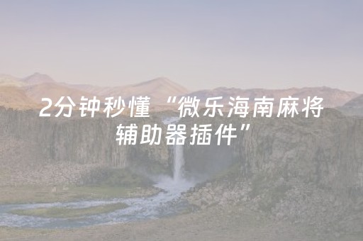 终于发现“财神十三张辅助器（专用辅牌神器免安装）