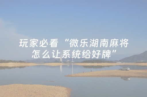 实测辅助“闲逸跑得快怎么赢（助赢神器通用版）