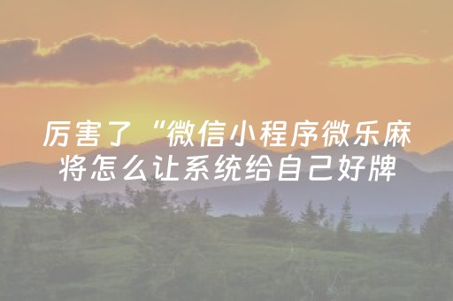 厉害了“微信小程序微乐麻将怎么让系统给自己好牌”（小程序控牌器)