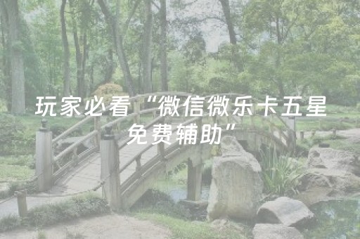 终于发现了“闲逸跑得快免费辅助器（专用辅牌神器免安装）