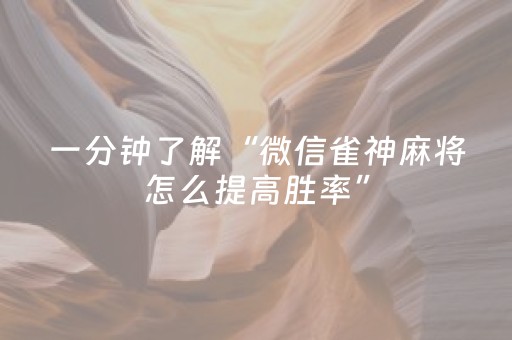 玩家实测“哈灵斗地主外挂（专用辅牌神器免安装）
