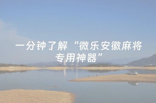 2分钟秒懂！“微信小程序微乐麻将怎么提高胜率”（详细辅助教程）-哔哩哔哩