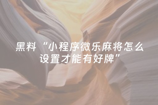 玩家必备教程“微乐山东麻将挂神器（助赢神器通用版）