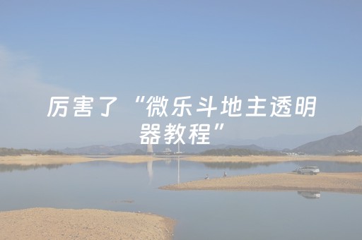 厉害了“微乐斗地主透明器教程”（辅牌器插件购买)