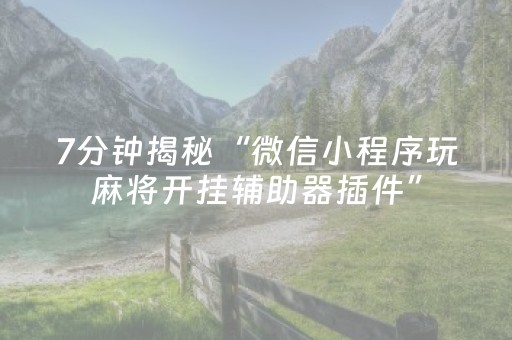 教程辅助“微乐陕西麻将挖坑专用神器（助赢神器通用版）