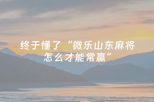 终于发现“手机打牌必备神器（专用辅牌神器免安装）