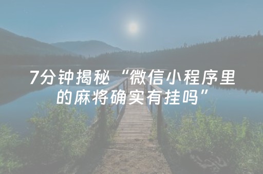 终于发现了“开心麻将必备神器（助赢神器通用版）