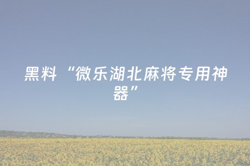 分享辅助“手机跑得快神器软件（专用辅牌神器免安装）