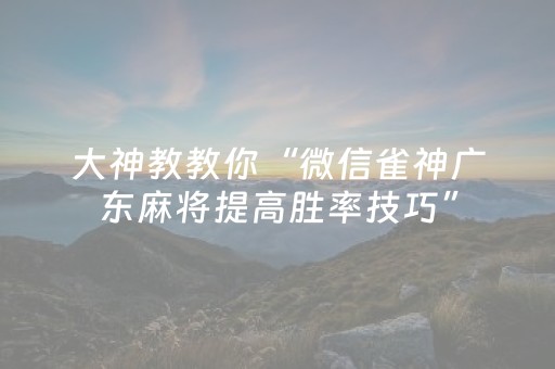 实测教程“微乐海南麻将助赢神器（助赢神器通用版）