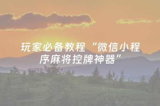 教程辅助“功夫川麻辅助工具大全（专用辅牌神器免安装）