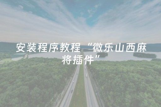 安装程序教程“微乐山西麻将插件”（透明器教程)