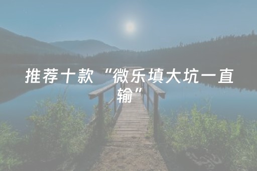 推荐十款“微乐填大坑一直输”（助攻神器)