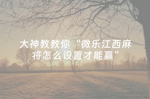 胜率设置方法“微信微乐麻将挂咋开（专用辅牌神器免安装）