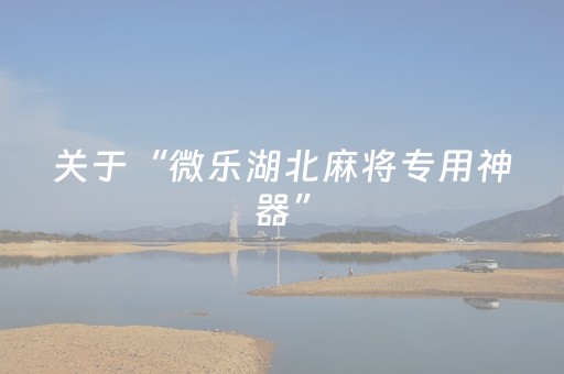 实测结果“微乐麻将铺牌器2025（助赢神器通用版）