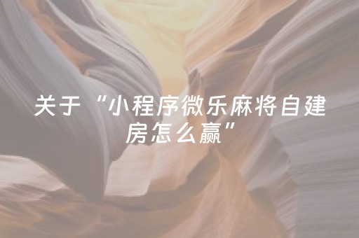 必看教程“普通免安装麻将机解码器（助赢神器通用版）
