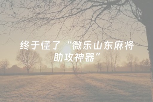 玩家必备教程“普通自动麻将机干扰器（专用辅牌神器免安装）