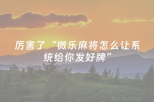 分享辅助“麻将机程序控牌器（助赢神器通用版）