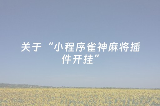 玩家实测“最新程序麻将机一体机（专用辅牌神器免安装）