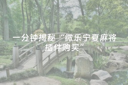 终于发现了“手机十三水提升好牌率（助赢神器通用版）
