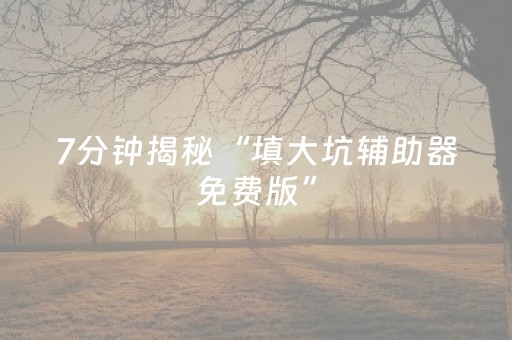 7分钟揭秘“填大坑辅助器免费版”（软件出售)