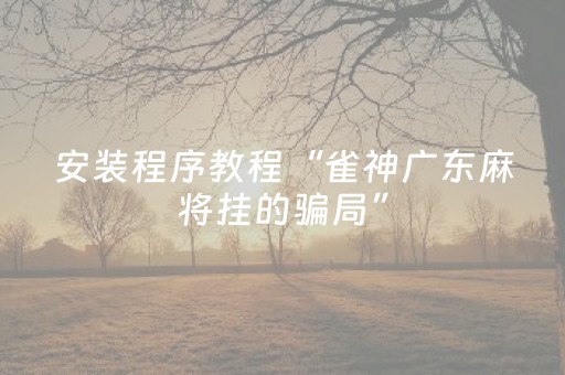 安装程序教程“雀神广东麻将挂的骗局”（开挂辅助器插件)