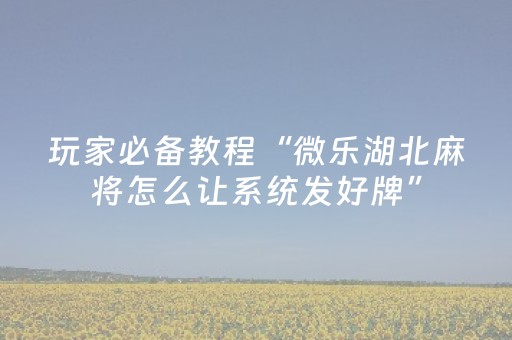 实测分享“微信上的广东雀神麻将到底有挂吗”（详细辅助教程）-哔哩哔哩