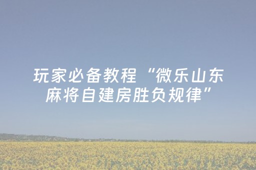 玩家必备教程“广东雀神辅助下载地址（助赢神器通用版）