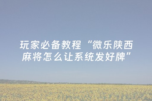 玩家必看攻略“微信拼三张辅助视频（专用辅牌神器免安装）