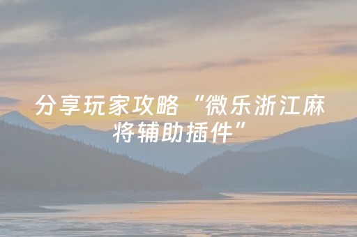 我来教大家“中至玉山打炸辅助器（助赢神器通用版）