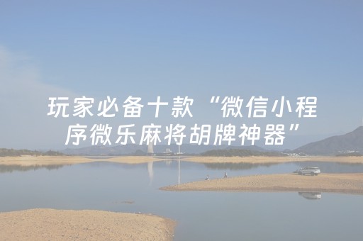 分享辅助“微乐福建麻将助赢神器购买（助赢神器通用版）