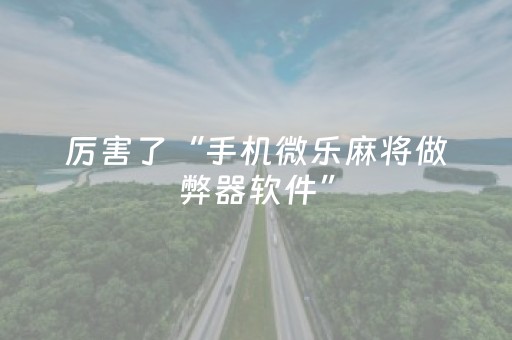 胜率设置方法“小程序麻将控牌购买（助赢神器通用版）