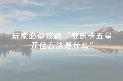 终于发现了“多乐跑胡子免费辅助器（专用辅牌神器免安装）