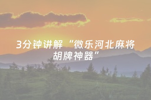 分享辅助“微信微乐麻将控牌器（专用辅牌神器免安装）