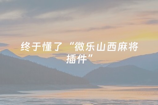 终于懂了“微乐山西麻将插件”（输赢跟id号有关系吗)