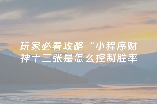 实测教程“程序麻将机软件（专用辅牌神器免安装）