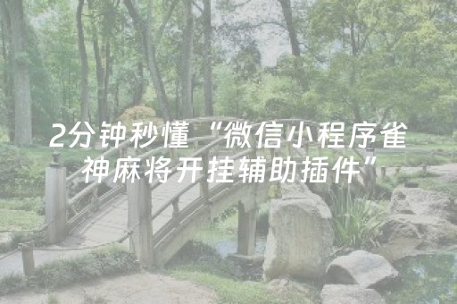 终于发现“手机雀神麻将软挂神器”（详细透视教程）-哔哩哔哩