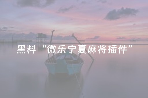 玩家必看攻略“吉祥填大坑辅助器通用版（专用辅牌神器免安装）