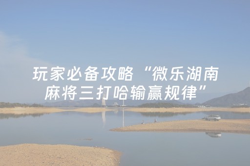 玩家必备教程“微乐手机麻将软挂神器新款（专用辅牌神器免安装）