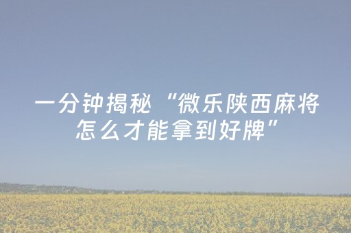 实测教程“微乐内蒙麻将怎样设置好牌（专用辅牌神器免安装）